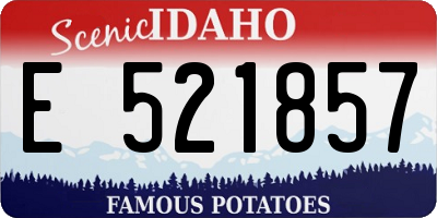 ID license plate E521857