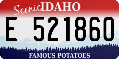 ID license plate E521860