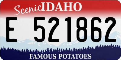 ID license plate E521862