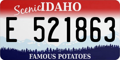 ID license plate E521863