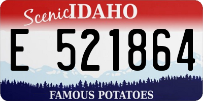 ID license plate E521864