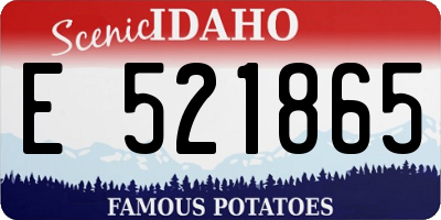 ID license plate E521865