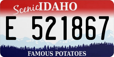 ID license plate E521867
