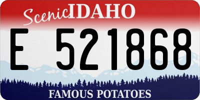 ID license plate E521868