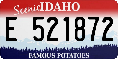 ID license plate E521872