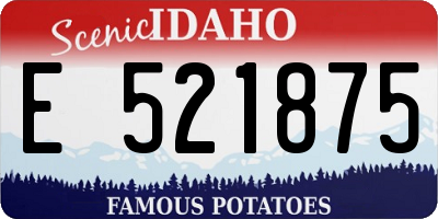 ID license plate E521875