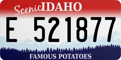 ID license plate E521877