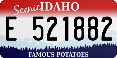 ID license plate E521882
