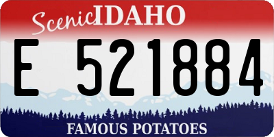 ID license plate E521884