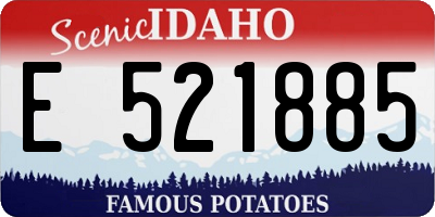 ID license plate E521885