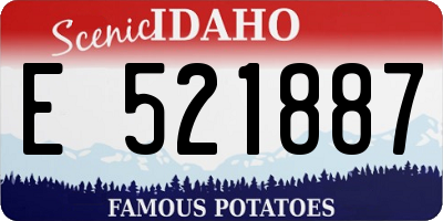 ID license plate E521887