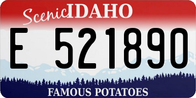 ID license plate E521890