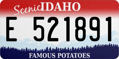 ID license plate E521891