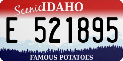 ID license plate E521895
