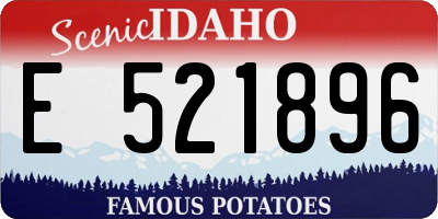 ID license plate E521896
