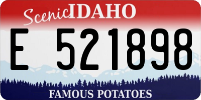 ID license plate E521898