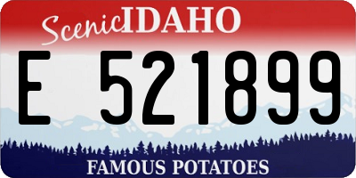 ID license plate E521899