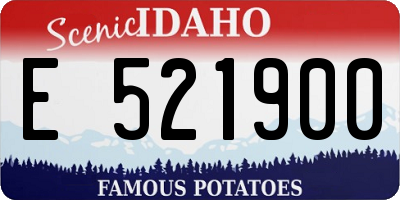 ID license plate E521900