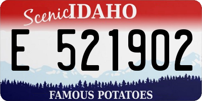 ID license plate E521902