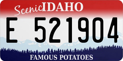 ID license plate E521904