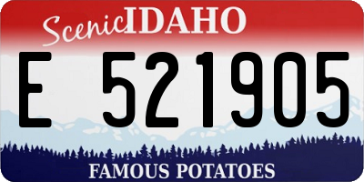 ID license plate E521905