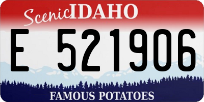 ID license plate E521906