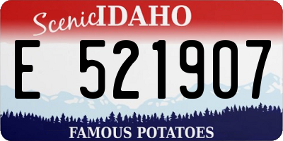 ID license plate E521907