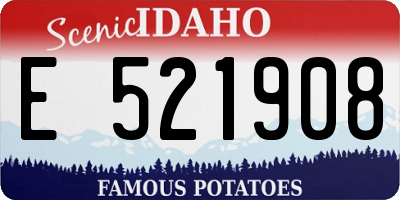 ID license plate E521908