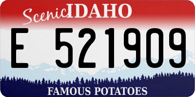ID license plate E521909
