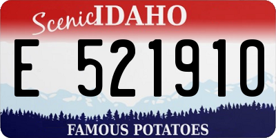 ID license plate E521910