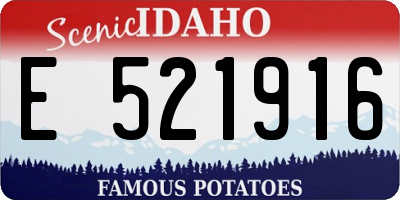 ID license plate E521916