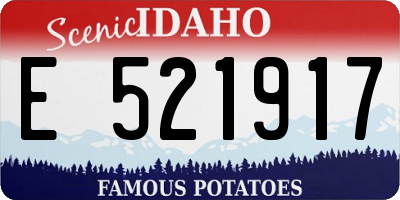 ID license plate E521917
