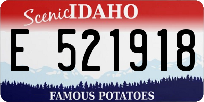 ID license plate E521918
