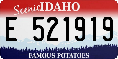 ID license plate E521919