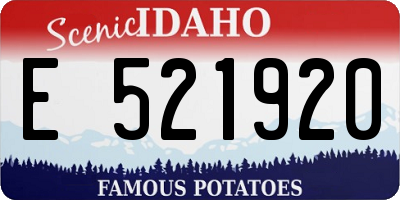 ID license plate E521920