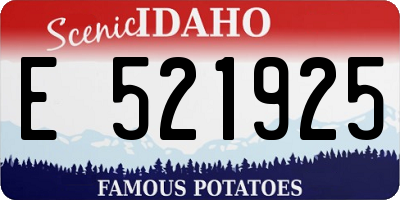 ID license plate E521925