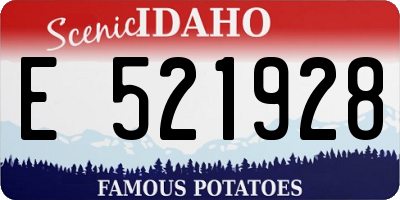 ID license plate E521928
