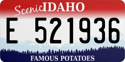 ID license plate E521936