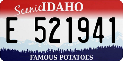 ID license plate E521941