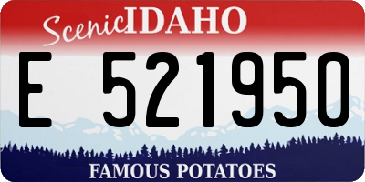 ID license plate E521950