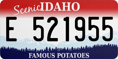 ID license plate E521955