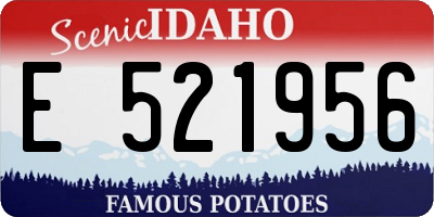 ID license plate E521956