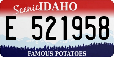 ID license plate E521958