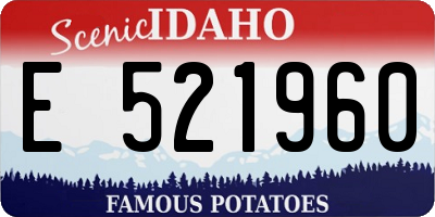 ID license plate E521960
