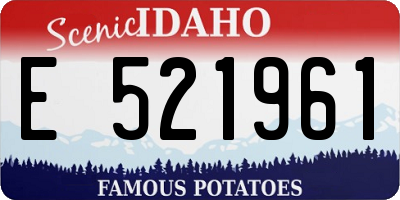 ID license plate E521961