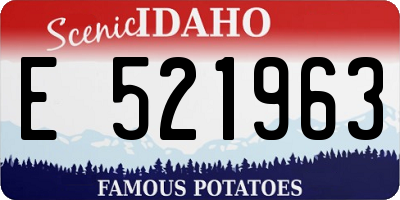 ID license plate E521963