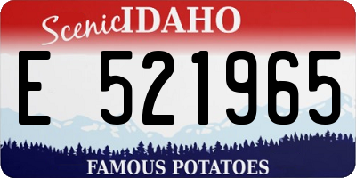 ID license plate E521965