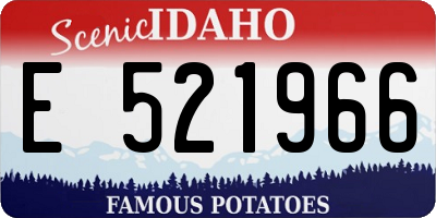 ID license plate E521966