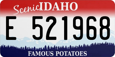 ID license plate E521968