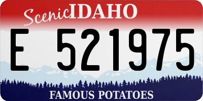 ID license plate E521975